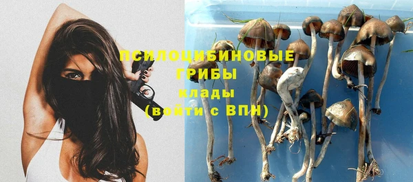 марихуана Богородицк
