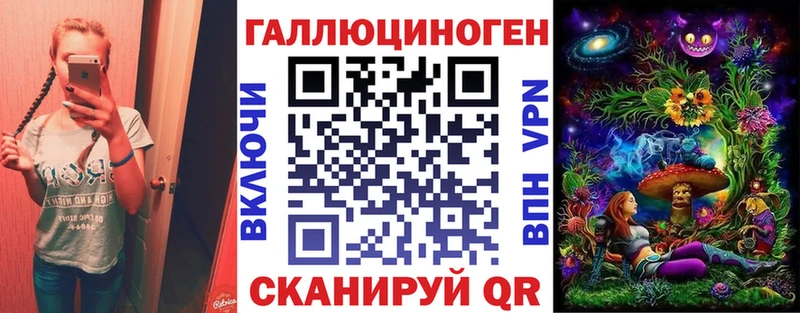 Купить где  Пустошка  Галлюциногенные грибы Psilocybine cubensis 